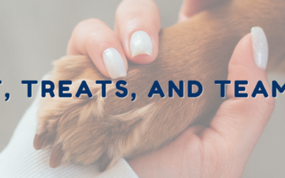 Trust, Treats, and Teamwork: Building Bonds That Last