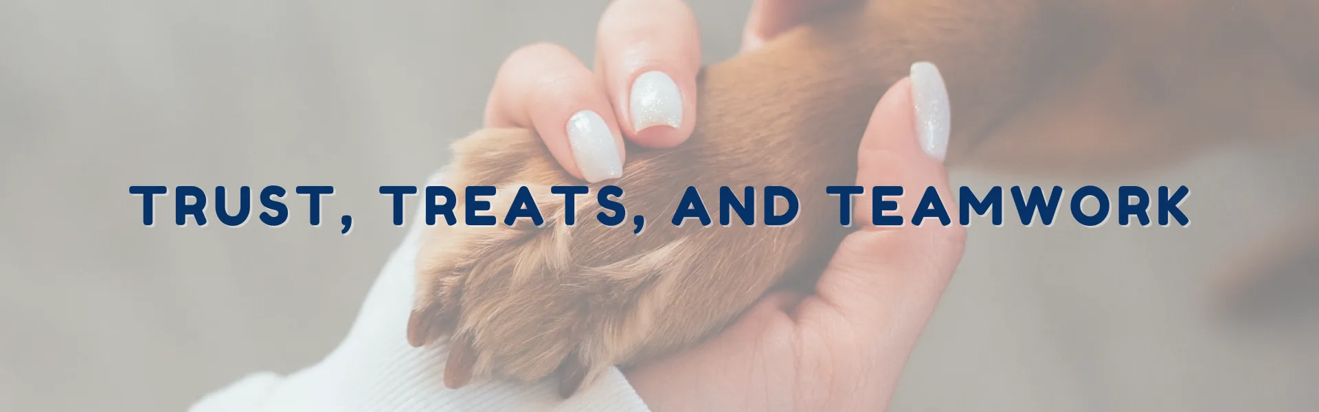 Trust, Treats, and Teamwork: Building Bonds That Last