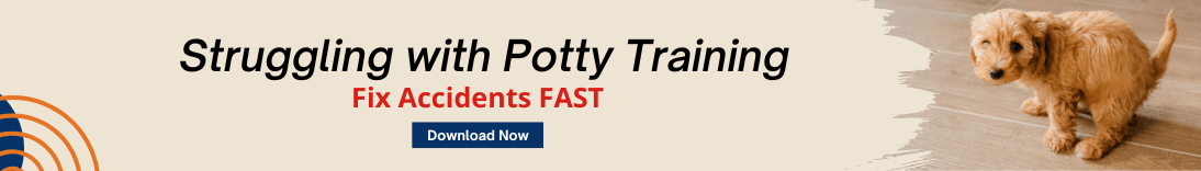 struggling with potty training