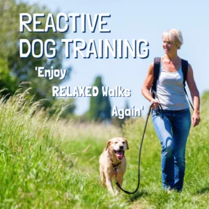 Reactive-Dog-Training-Relaxed-Walks2