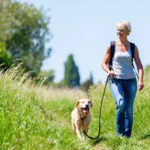 Relaxed Reactive Dog Training