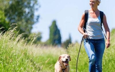Why Your Dog Reacts on Walks (And the Simple Shift That Helps Them Relax)